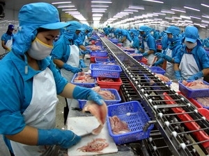 Exportation de pangasius